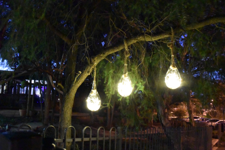 lights in a tree
