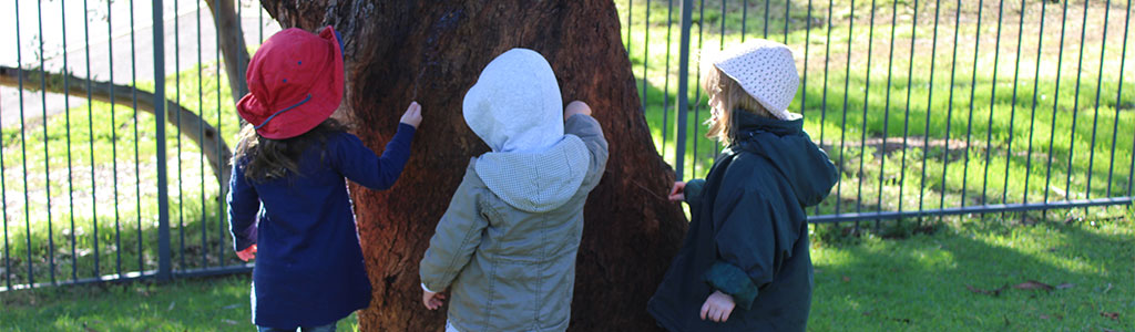 children looking at a tree