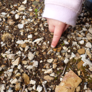 child pointing at stones